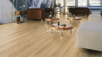 My Floor Cottage широкая 8мм Дуб Дуэро MV899 фото 9 | FLOORDEALER